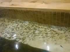 -中家鑫园温泉酒店鑫悦汤泉