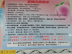 -老袁家蜜桃农场·阳山水蜜桃