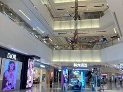 -岭南站NOVA