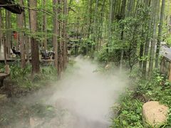 -东明山森林公园