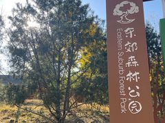 -东郊湿地公园