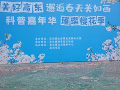 -高东镇樱花园