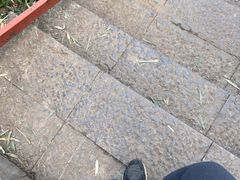 -大蜀山国家森林公园