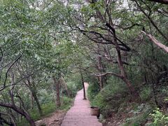 -北京西山国家森林公园