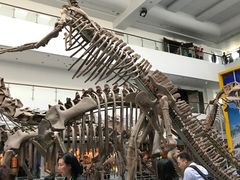 -中国地质大学逸夫博物馆