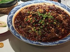 -新概念来凤鱼(璧山店)