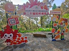 -广州市石门国家森林公园