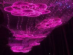 -昆山城市生态森林公园