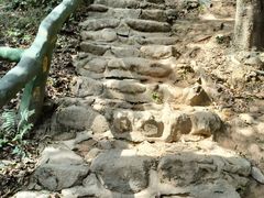 -梧桐山风景名胜区