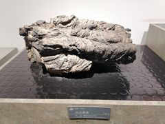-中国地质博物馆