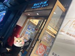 -猫的天空之城概念书店(大学路店)
