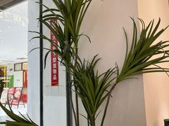 -黄记煌三汁焖锅(新佳丽江汉路店)