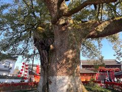 -新安江山水画廊风景区