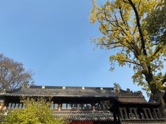 -灵谷景区