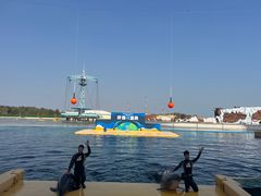 -秦皇岛乐岛海洋王国