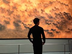 -罗红摄影艺术馆