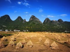 -万峰林风景区