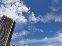 -君成体育|网球培训(蛇口校区)
