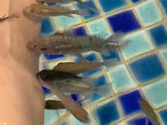 -极乐汇汗蒸会馆(杭州店)