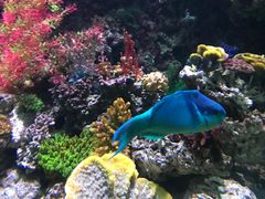 -海合安青岛极地海洋公园