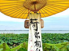 -七的湖·晚芳亭·阳澄湖农家菜·大闸蟹(莲花岛店)