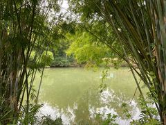 -苏家围·东江画廊旅游景区