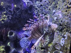 -太平洋海底世界