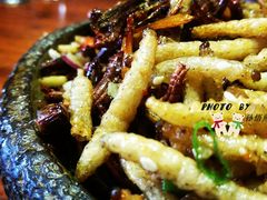 虫虫组合-慢丽江·云南野生菌土鸡锅(付家庄店)