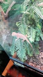 -酷嗒动物文化乐园(cutezoo西溪乐天城店)