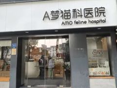 -御宝贝·A梦猫科宠物医院(国际猫友好医院)