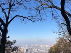 -惠山国家森林公园