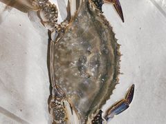 -北塘海鲜·天津菜(大光明桥旗舰店)