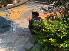 -高荡千年布依古寨旅游景区