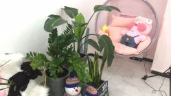 -久匠·野生眉半永久纹眉