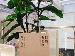-叶子与茶(苏宁广场店)