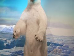 -陕西自然博物馆