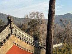 -潭柘寺景区