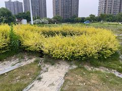 -杭州城北体育公园