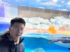 -海合安武汉极地海洋公园