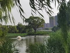 -将府公园