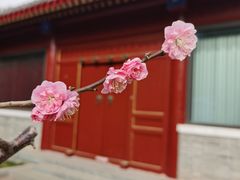 -北京市劳动人民文化宫