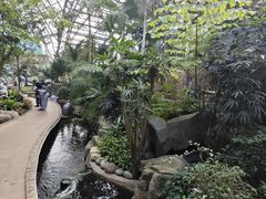-南山植物园