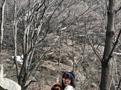-王顺山国家森林公园