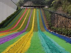 -梦幻奥陶纪景区