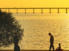 -宝安西湾红树林湿地公园