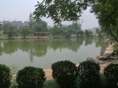 -渭滨公园