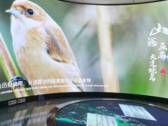 -大连市规划展示中心