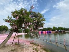 -上海杨姆庄园