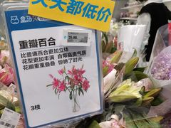 -盒马X会员店(上海森兰商都店)