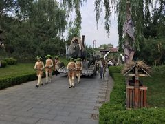 -太阳部落